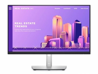Màn Hình Máy Tính Dell P2422H 23.8" IPS Full HD